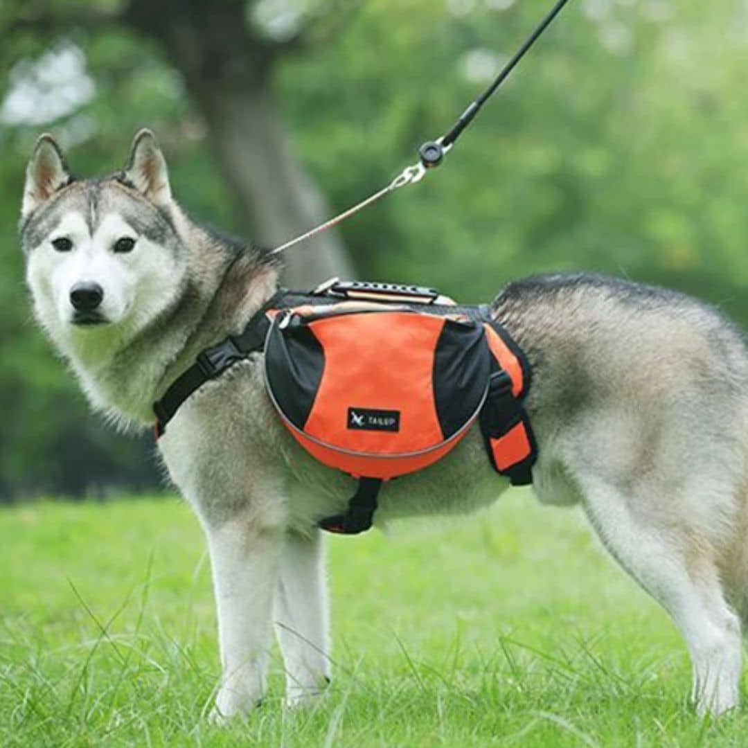 Sac à dos pour chien (sac de bât) Camping et Bivouac